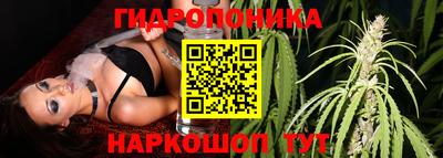 ГАЛЛЮЦИНОГЕННЫЕ ГРИБЫ Краснокаменск