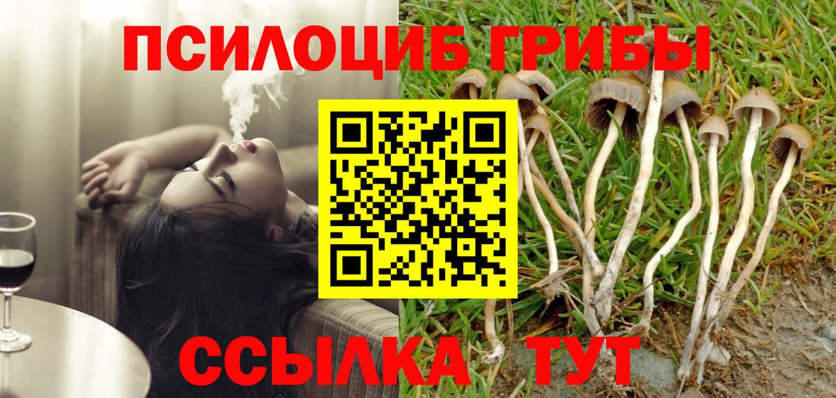 Галлюциногенные грибы Psilocybine cubensis Каменск-Уральский