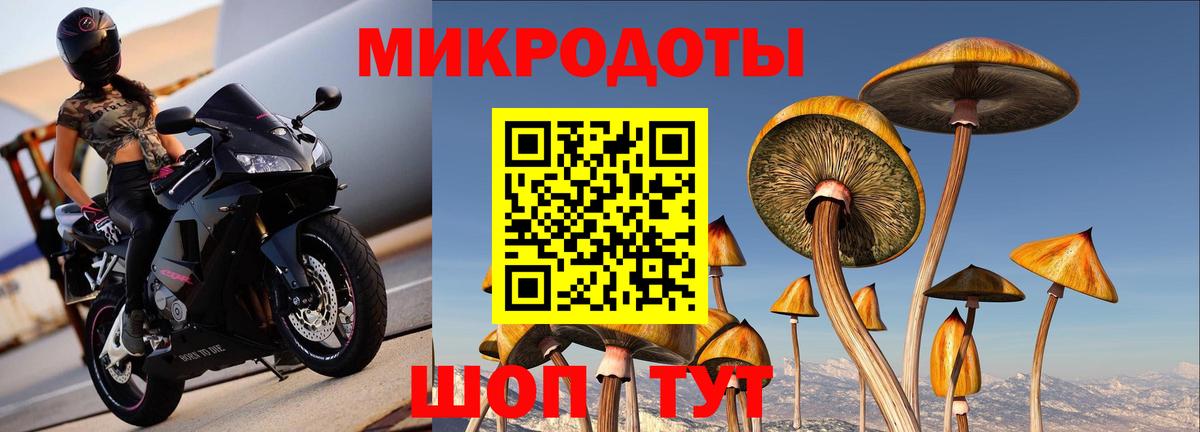 Каменск-Уральский  Галлюциногенные грибы MAGIC MUSHROOMS  Галлюциногенные грибы Psilocybe  Вход с VPN 
